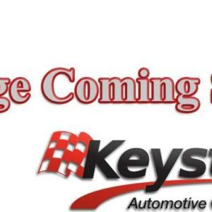 7068820 Reese Trailer Hitch Ball Mount Class III