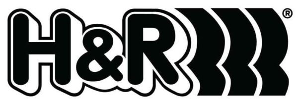 H&R 10-12 Porsche 911/997 Turbo 24mm Adj. 3 Hole Sway Bar - Rear - Image 2