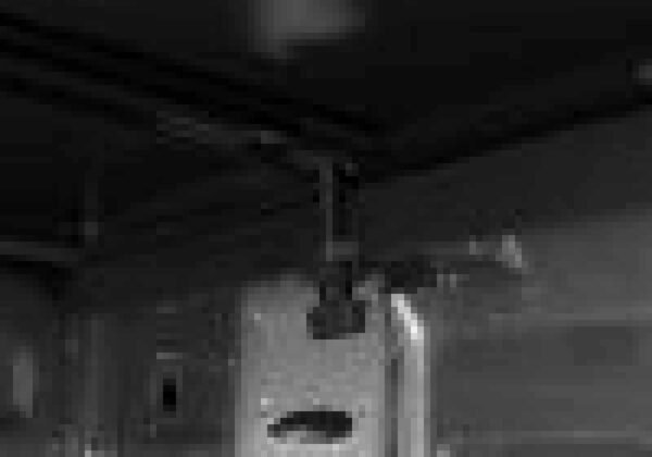 Extang 14-18 Chevy/GMC Silverado/Sierra 1500 (5ft 8in Bed) Trifecta e-Series - Image 8