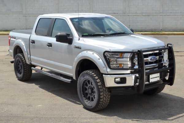 Go Rhino 04-04 Ford F-150 3000 Series StepGuard - Black (Center Grille Guard Only) - Image 10